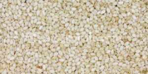 White Sesame Seeds