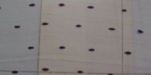 Silk Scarves- Dsc01284