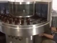 Rotary Bottle Washing Machines