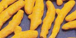 Turmeric Fingers