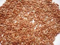 Red Rice