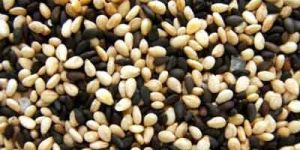 Sesame Seed