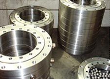 SB-02-Slewing Bearings