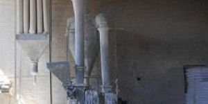 Plaster Of Paris Plant