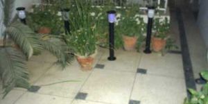 Solar Garden Light (002)