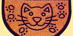 Vjcm-19 Coir Products