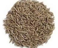 Cumin Seeds