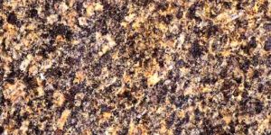 Almond Pearl Granite