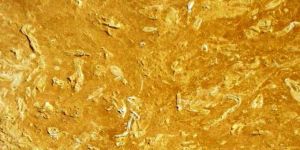 Flowery Gold Sandstone