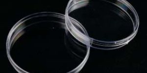 Petri Dish