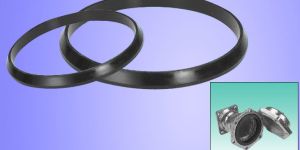Mechanical Joint Gasket