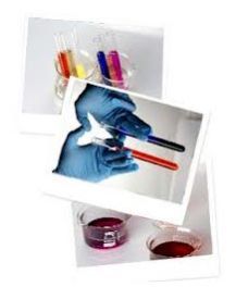 2-Bromo-5-nitroaniline