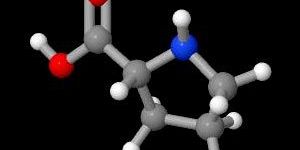 D-Proline