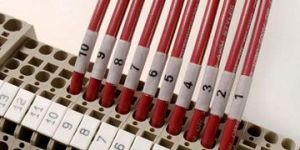 Control Panel Wiring Harness