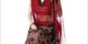 Designer Lehenga Choli