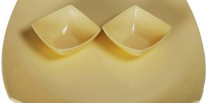 Plastic Dinner Plate - (03)
