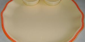 Plastic Dinner Plate - (06)