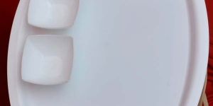 Plastic Dinner Plate