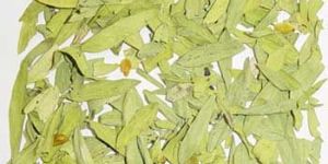 Senna Leaves