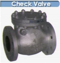 Check Valve