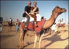 Camel Safaris