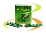 Sat Pudina Oral Liquid