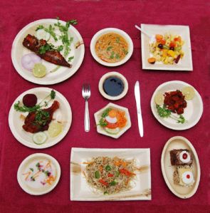 Areca Palm Leaf Plates