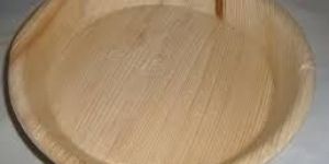 Disposable Areca Plates