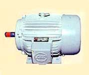 Electric Motors
