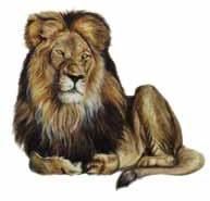 Wooden Figurines Fw-01