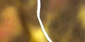 Cotton Silver
