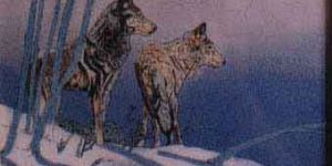 Wolf Gemstone Painting