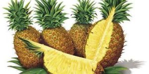 Fresh Pineapple
