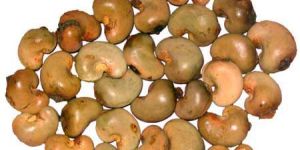 Raw Cashew Nuts