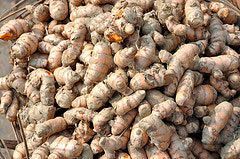 Turmeric Finger