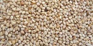 Indian Sesame Seeds