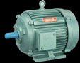 Three Phase Induction Motor