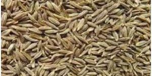 Cumin Whole