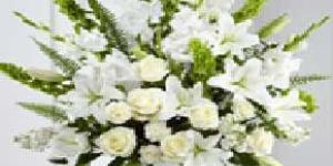 20 White Rose With 20 White Glandules Bunch