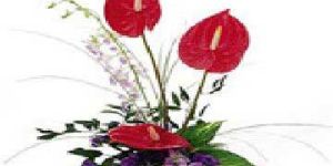 3 Red Anthurium and 5 Orchid Bunch