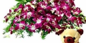 50 Purple Orchid Bunch