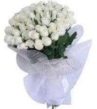 50 White Rose Bunch