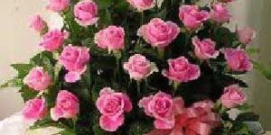 Cone Basket Packing 50 Pink Rose Bunch