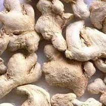 Dried Ginger
