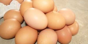 Brown Poultry Eggs