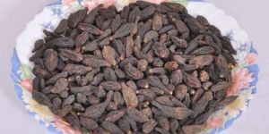 Dried Terminalia Chebula Seeds