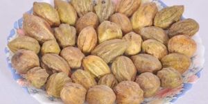 Fresh Terminalia Chebula Seeds