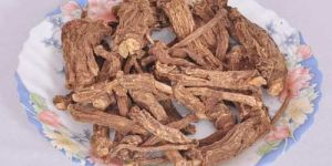 Sarsaparilla Root