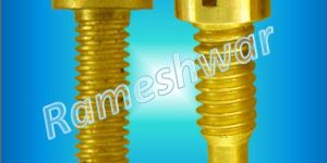 Brass Screw
