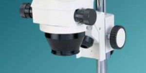 Stereo Microscope